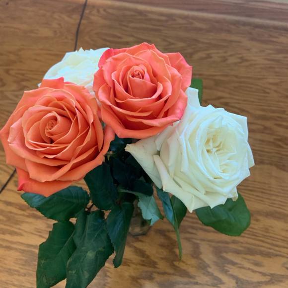 Meet your Posher, Jay - Picture 1 of 1